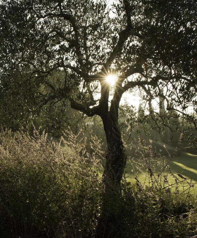 Tenuta Santo Pietro Пиенца Екстериор снимка